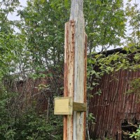 Galleria kuusiluoto2